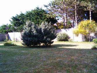 Garten hinten