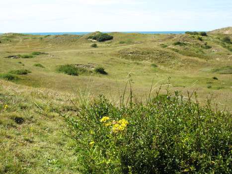 Dunes de Lindbergh Dunes de Lindbergh