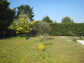 Garten